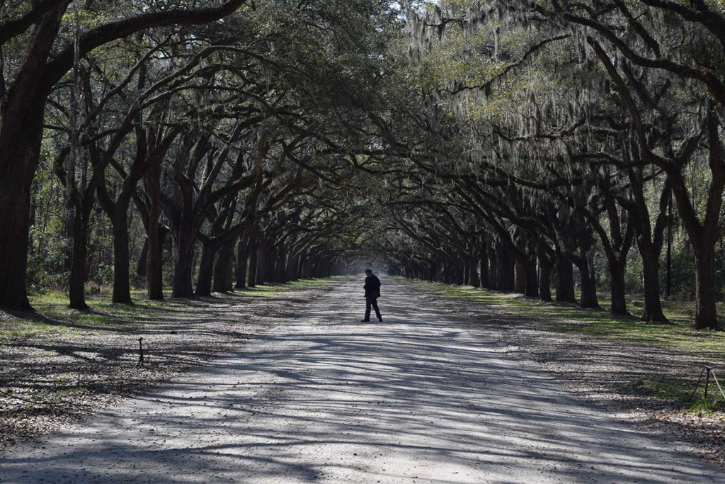 wormsloe_historic_site_savannah