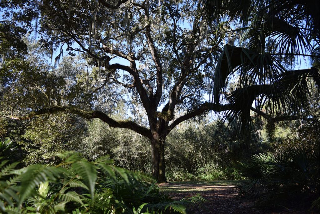 bok_tower_gardens_2