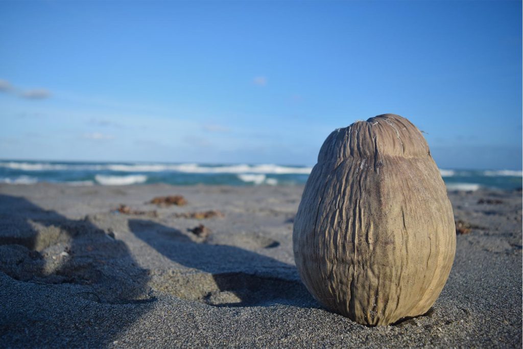 jupiter_beach_florida