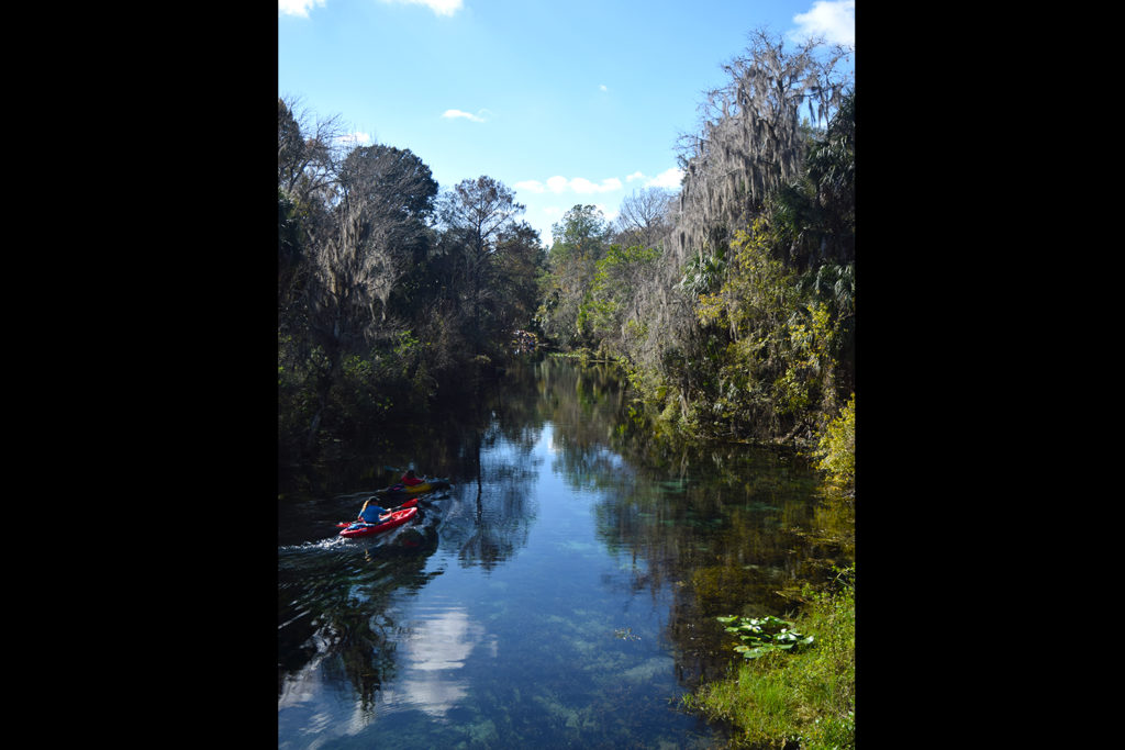 silver_springs_state_park_1