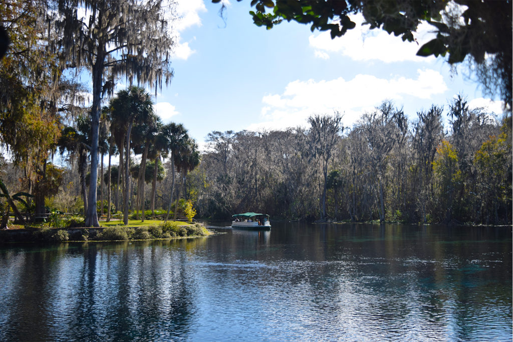 silver_springs_state_park_2