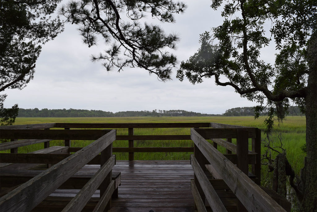 wormsloe_historic_site_savannah_marsh