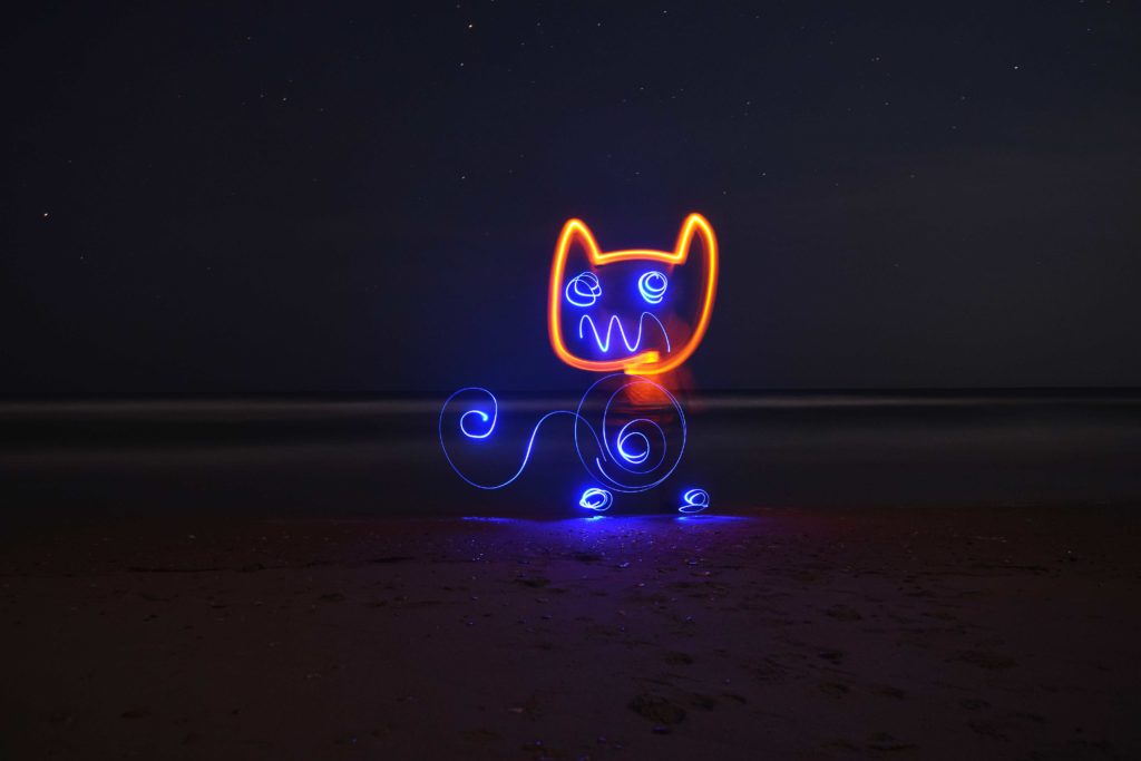 long_exposure_cat_virginia_beach