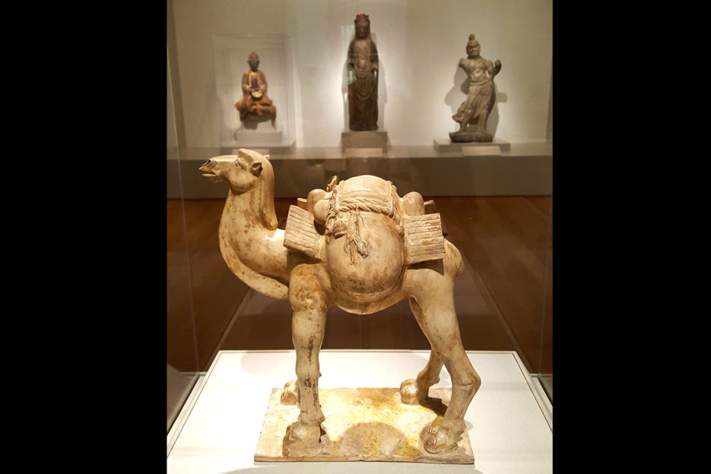 virginia_museum_of_fine_arts_camel_richmond_virginia