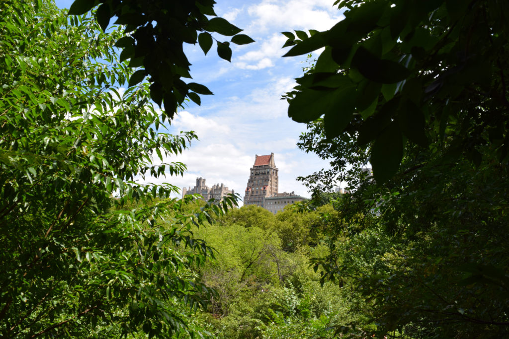 central_park_building_forest_manhattan_new_york