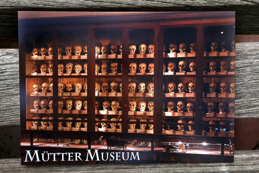 the_mütter_museum_at_the_college_of_physicians_of_philadelphia